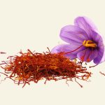 Safran naturel utilisé dans les soins Cocoon d’Orient pour illuminer et régénérer la peau.